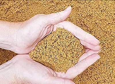 Ganga River Sand