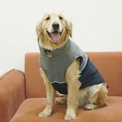 Pet's Way Dog Winter Winter Frost Jacket (Navy-XL) | Dog Winter Wear Climate Control -10° Jacket | Available for All Breeds