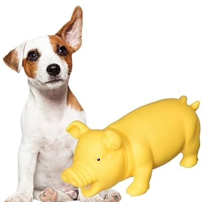 Sage Square Squeaky Rubber Pig Toy for Dogs &amp; Cats: Unleash The Chew Cravings with Loud Squeak, Entertained for Hours, Interactive Rubber Toy, Tugs and Squeezes, Barking Glees, Fun with Pig
