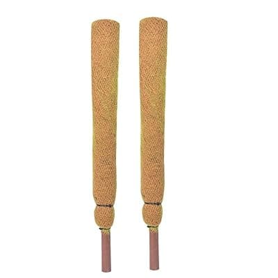 Balaji Creator Coco Pole Moss Stick, Coir Stick 4FT-02 PC, Best for Climbing Indoor and Outdoor Plant, Moss Stick for Plant (120 CM)