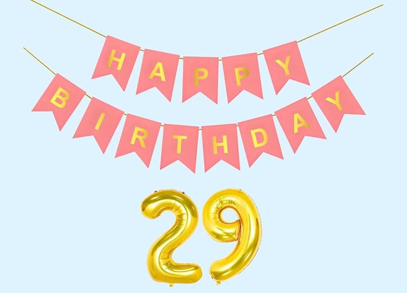 29th Happy Birthday Decoration Kit Light Pink for 29 year Old Boys Girls Men with Number Twenty-nine Party Decorations Decor Celebration Items Item Set Combo Reusable Paper Banner