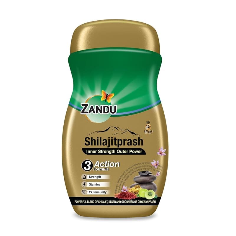 Zandu Shilajitprash | Dual Goodness of Chyawanprash &amp; Shilajit/Shilajeet | Strength, Stamina &amp; 2X immunity* | 450g I 24K Gold Bhasma &amp; 47 Potent Herbs I No added sugar I 100% ayurdevic