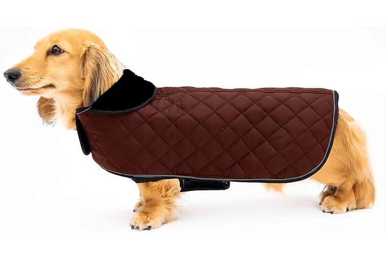 Petslover Dog Coats - Cold Weather Dog Jacke -Coat Sweater Hoodie Outwear Apparel, Pockets, Rain/Water Resistant, Adjustable Drawstring