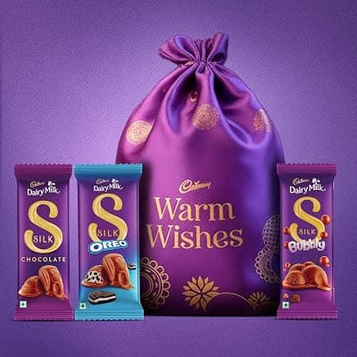 Cadbury Dairy Milk Silk Special Assorted Valentine's Chocolates Potli Gift Pack with Teddy keychain,232 gram