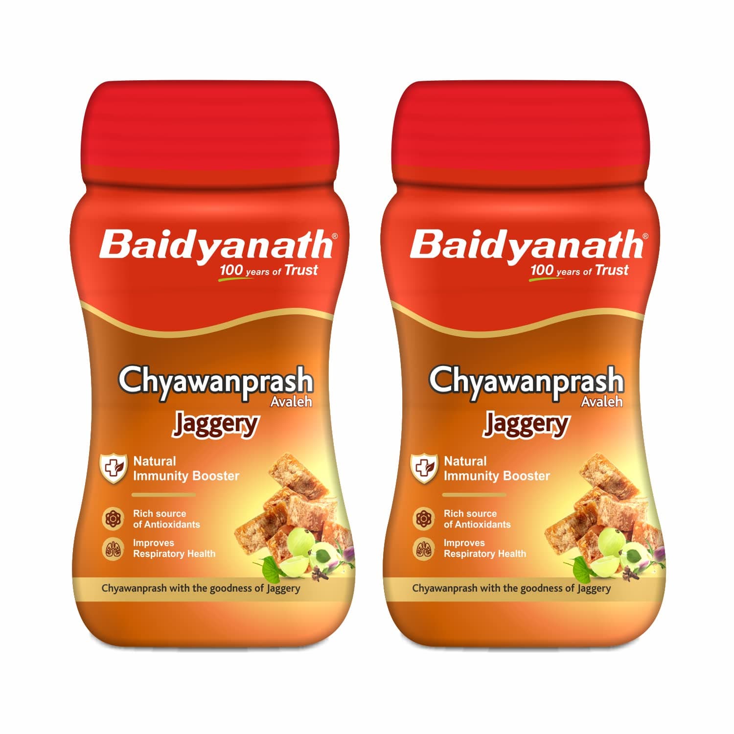 Baidyanath Ayurved Jaggery Chyawanprash - 750gm | Made with Goodness of Gur | Enriched with Amla | Helpful in Cough & Cold | Helps Boosts Immunity (Pack of 2)
