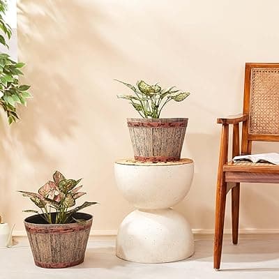 Amazon Brand- Solimo Indoor and Outdoor Round 14 Inch Barrel Flower Planter Pot Best for Terrace/Balcony/Home/Office Decor - Set of 2
