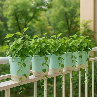 Kraft Seeds by 10CLUB Fancy Design Decorative Pots for Plants, Indoor and Outdoor Flower Pot for Home/Office/Table/Garden/Balcony Decoration (7inch, Pack of 5) Round Pots for Plants with Bottom Tray
