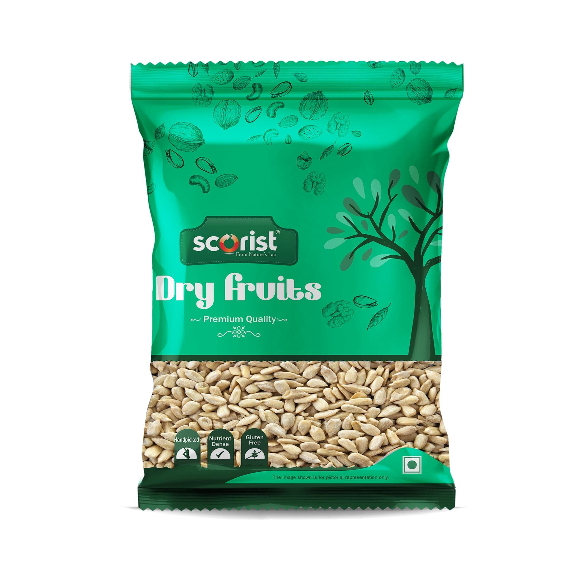 Scorist Premium Sunflower Seeds 500g I Sunflower Seeds for Eating | Diet Food | Healthy Snack | Raw seeds | Weight management | Source of Antioxidants
