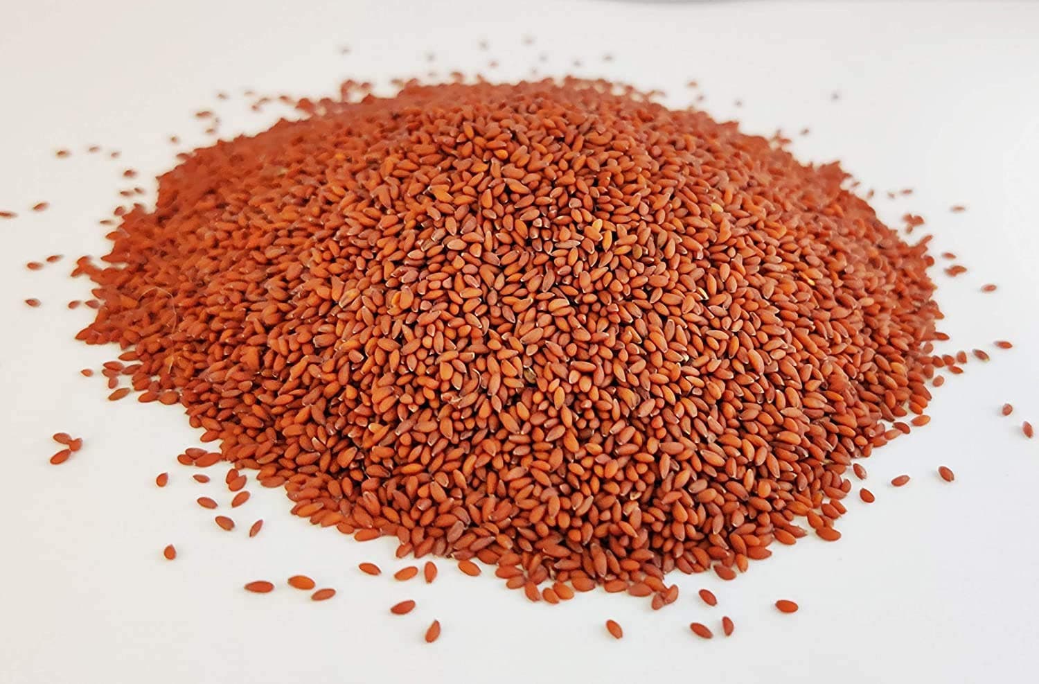 Organic Nature Halim Seeds 400 gms | Garden Cress Asaliya | Aliv Pure & Natural |Haleem Seeds | Halim Seeds for Eating [Jar Pack]