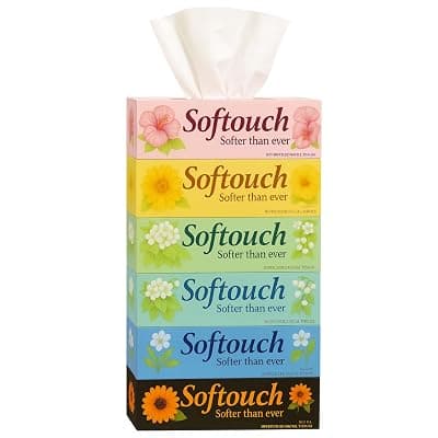 Softouch 2 Ply Face Tissue-100 Pulls Each Box (200 Sheets) Pack of 6-600-1200 sheets