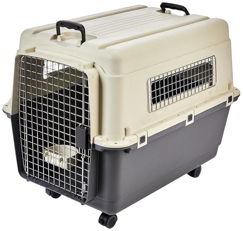 Amazon Basics Heavy Duty Pet Airline Carrier | IATA Approved Medium Pet Carrier | Travel Pet Kennel | Suitable for Medium Size Dogs | Breathable & Washable | 32 Inches
