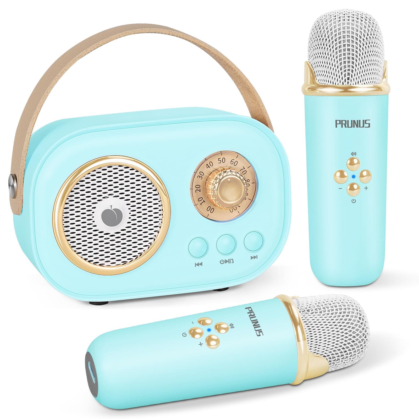 PRUNUS C20 Mini Karaoke Machine,Portable Bluetooth Speaker with 2 Wireless Microphone,Toys for Girls Boys Gifts, Speaker Set Stereo Sound Enhanced Bass for Home Party Birthday(Blue)